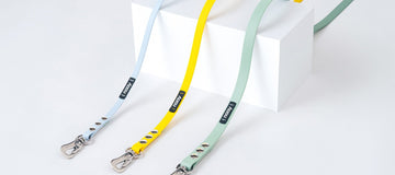 如何挑選適合狗狗的牽繩寬度：9mm、13mm、16mm大解析 - NAAY 納以精品防水胸背