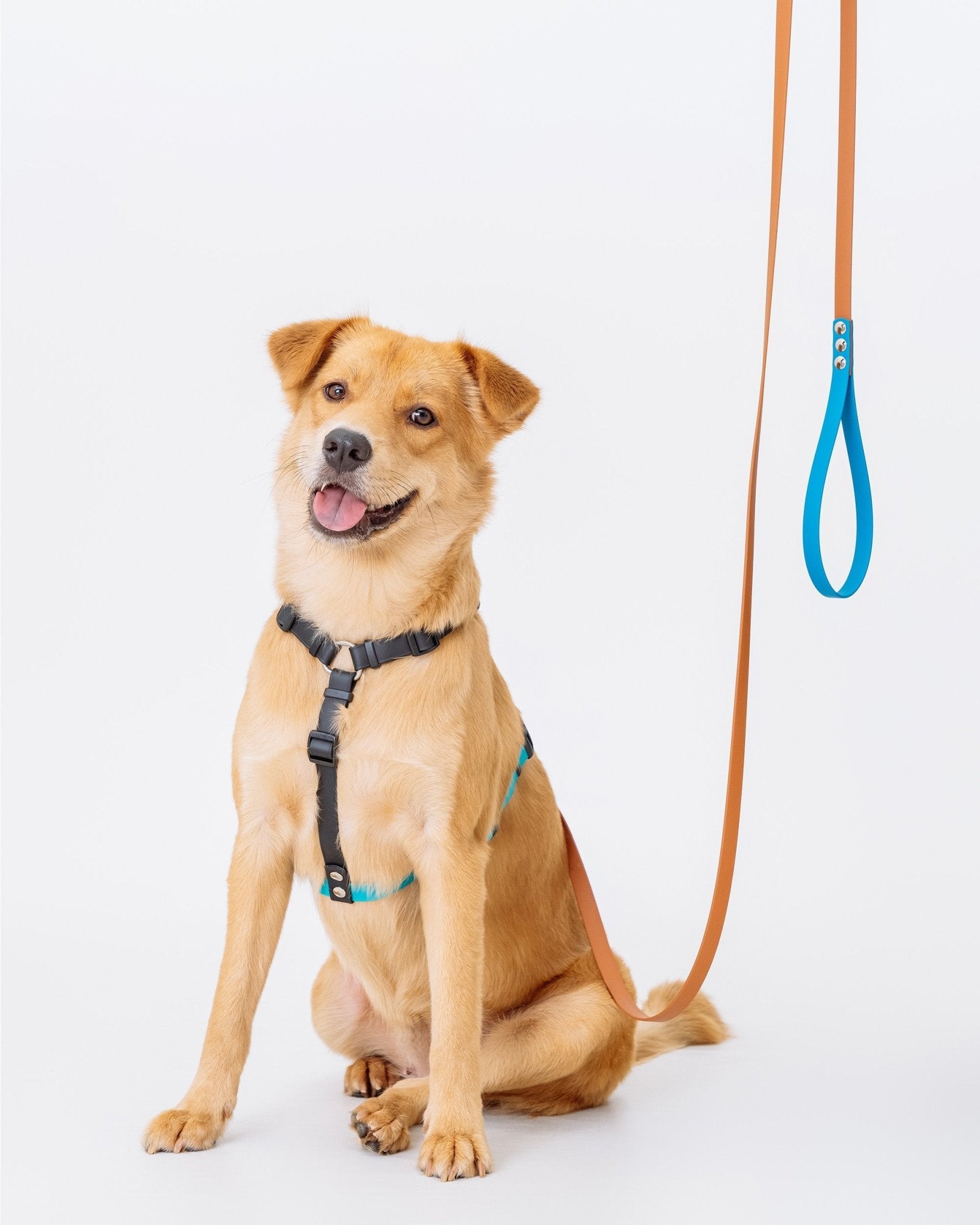 16mm 簡易牽繩 - 客製化 - 牽繩 - 簡易 - NAAY 納以精品防水胸背