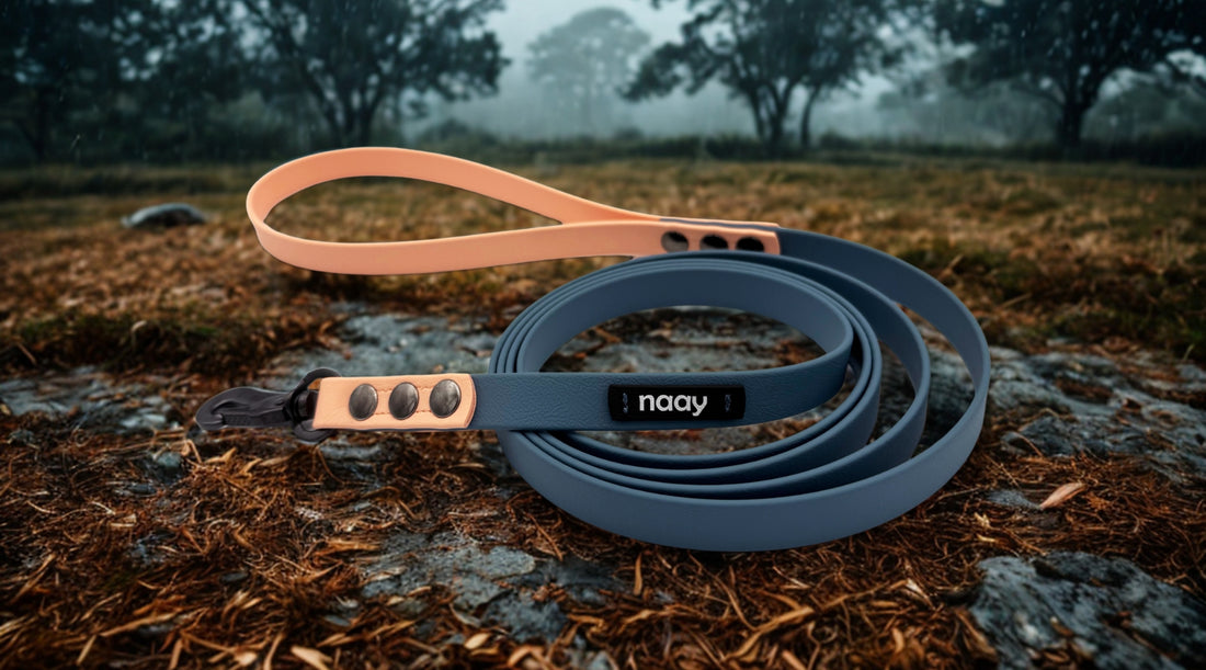 slider image slider_item_R6bCX3