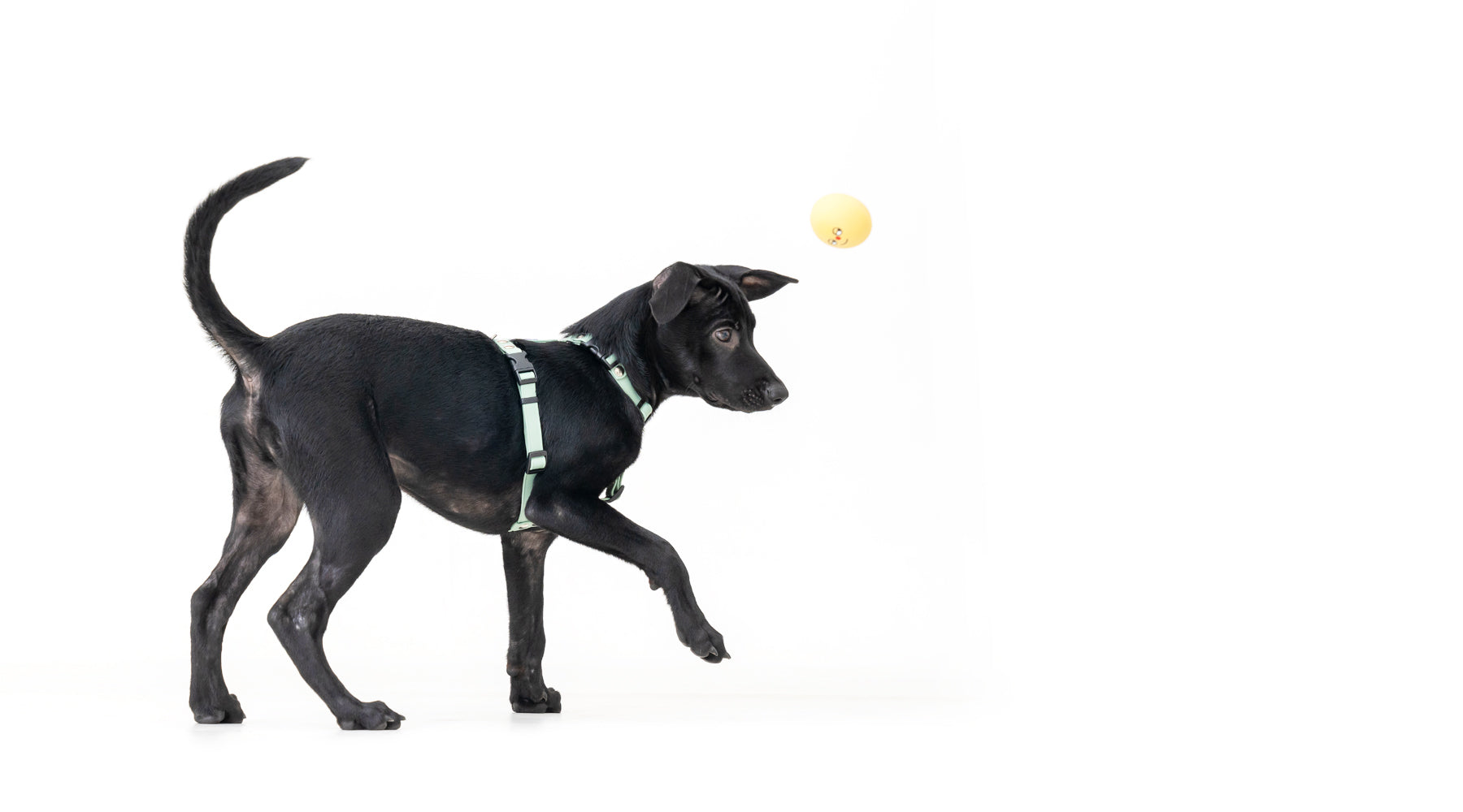 slider image slider_item_CXR8dG