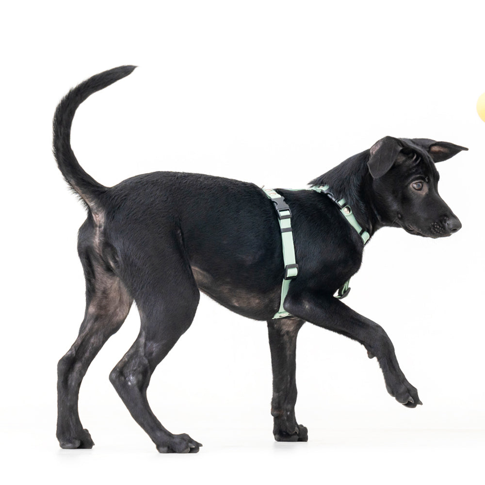 slider image slider_item_CXR8dG