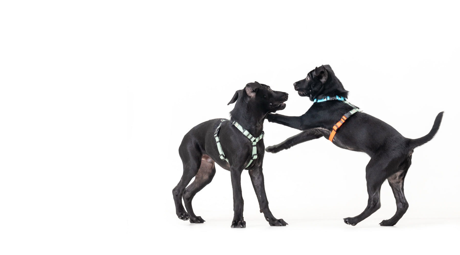 slider image slider_item_XEc9UA