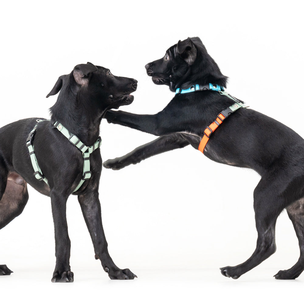 slider image slider_item_XEc9UA