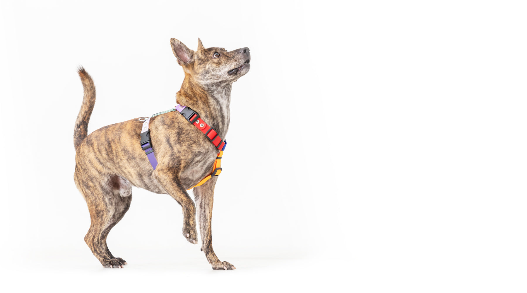 slider image slider_item_hBPcjw