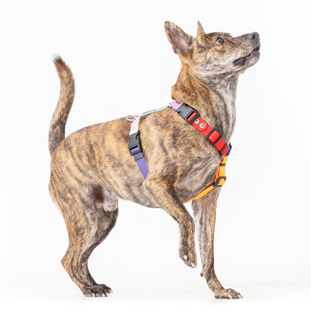 slider image slider_item_hBPcjw