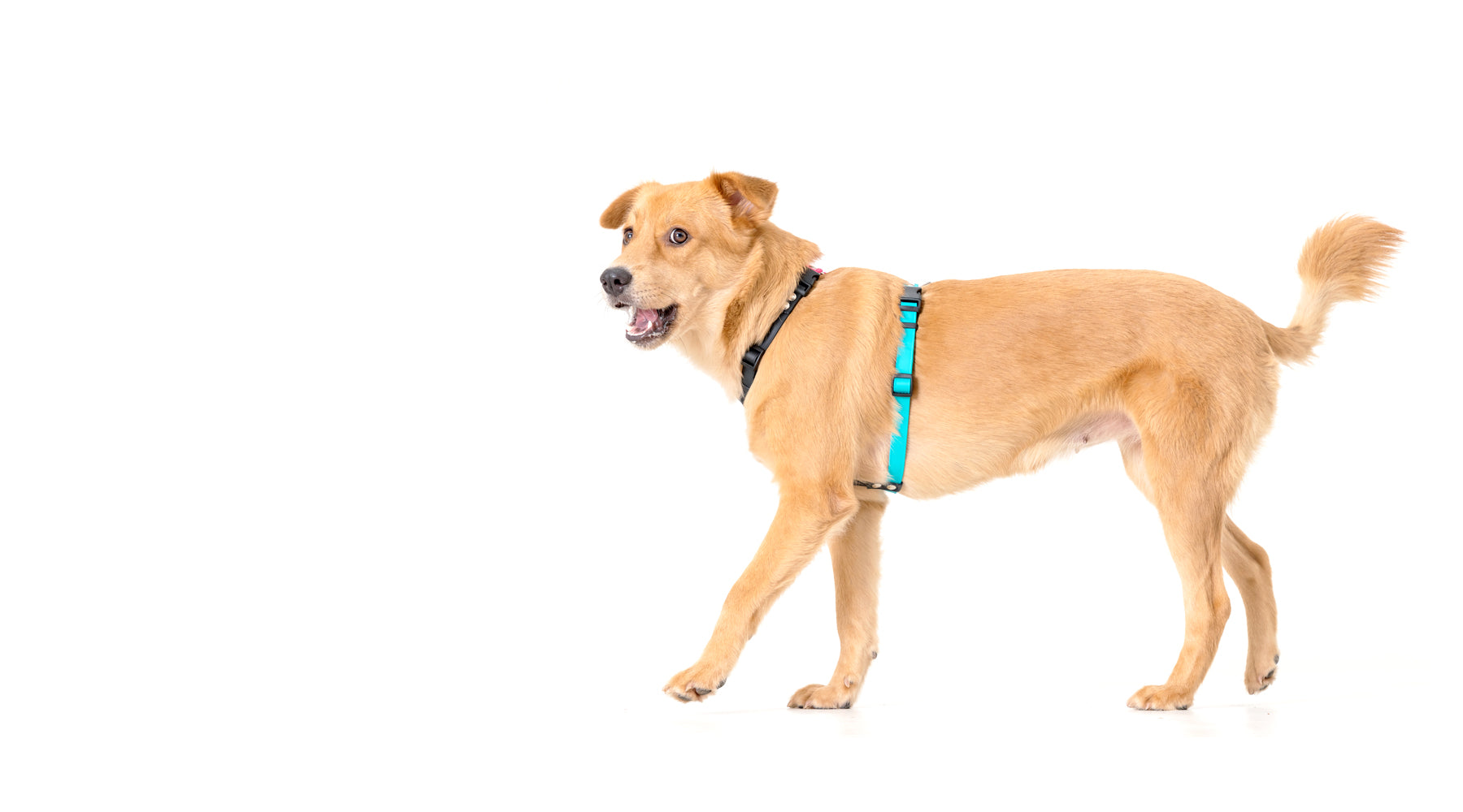 slider image slider_item_Vp3aFt