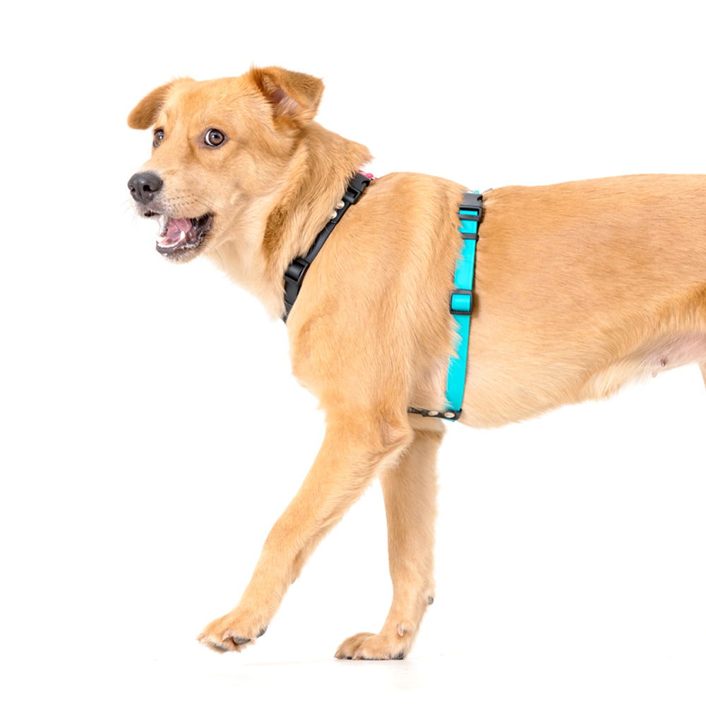 slider image slider_item_Vp3aFt