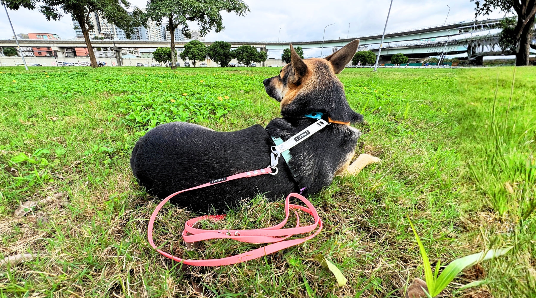 slider image slider_item_Hz3JLy