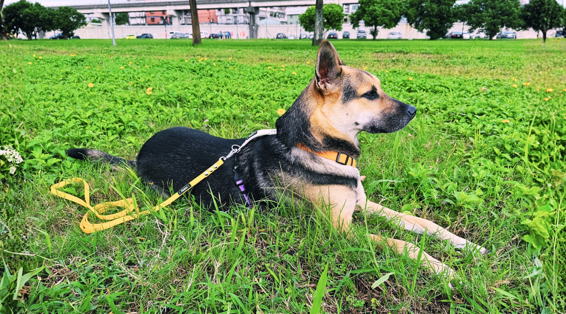 slider image slider_item_aPfMKq