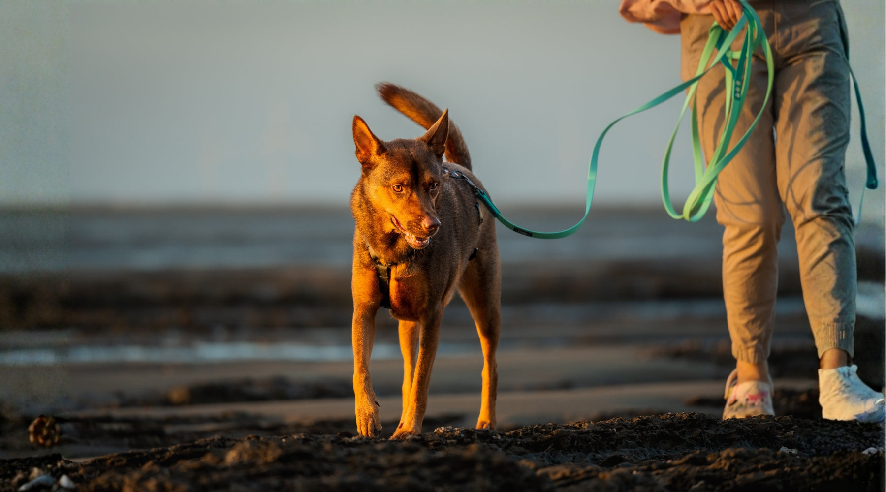 slider image slider_item_kam9xH