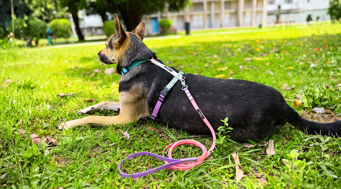 slider image slider_item_GmQ4Tg