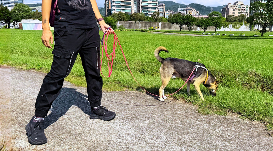 slider image slider_item_kh99Gm