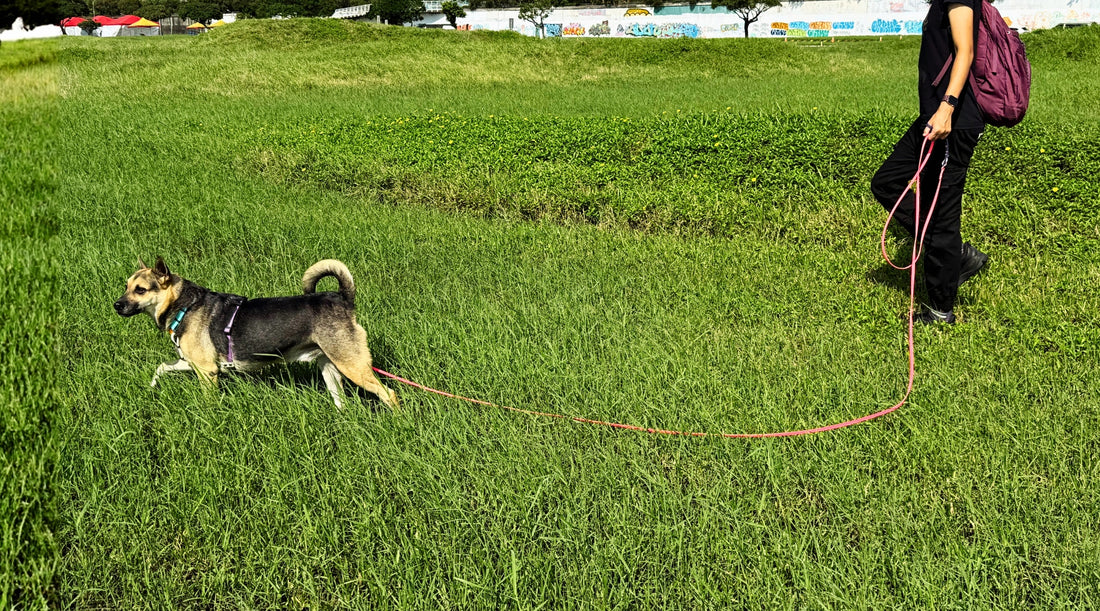 slider image slider_item_Hz3JLy