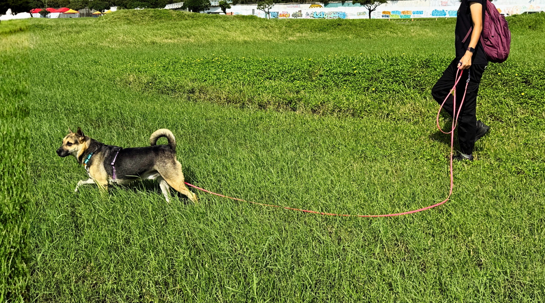 slider image slider_item_Hz3JLy