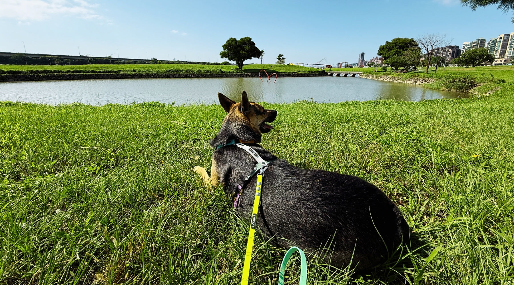 slider image slider_item_aPfMKq