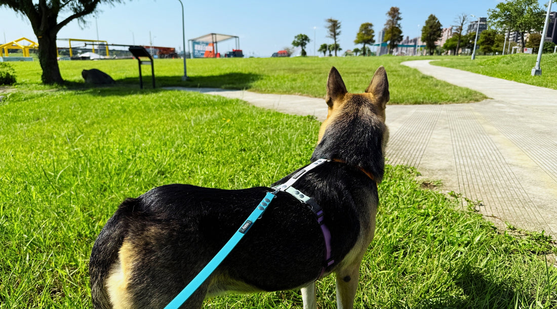 slider image slider_item_kam9xH