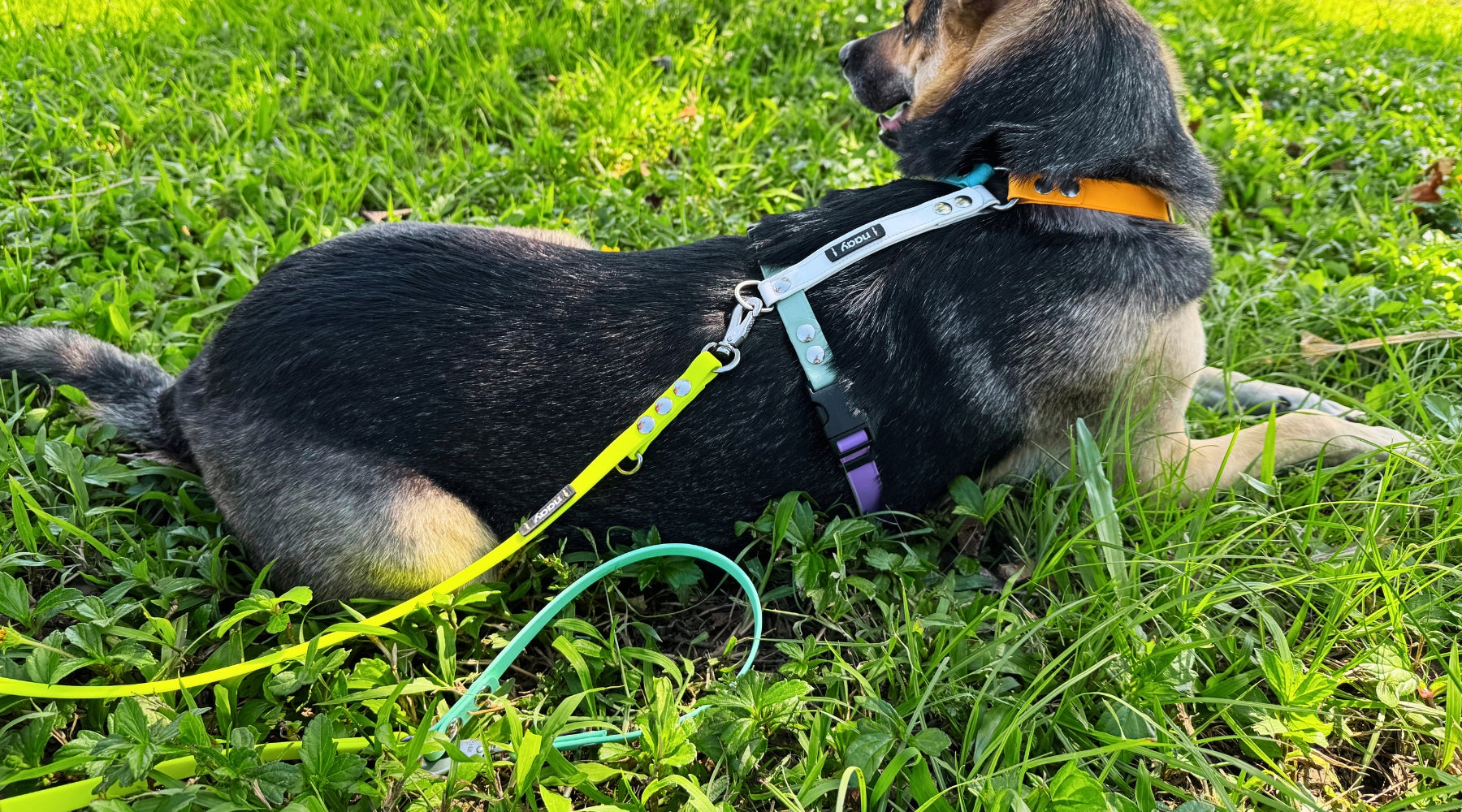 slider image slider_item_Wmre8G