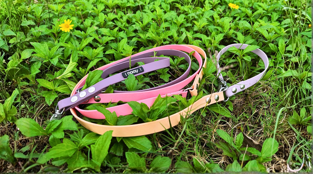 slider image slider_item_pX8zXK