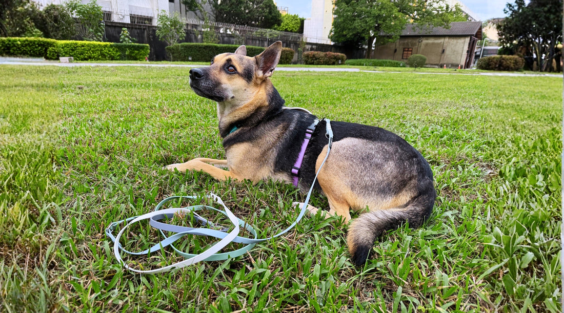 slider image slider_item_Hz3JLy