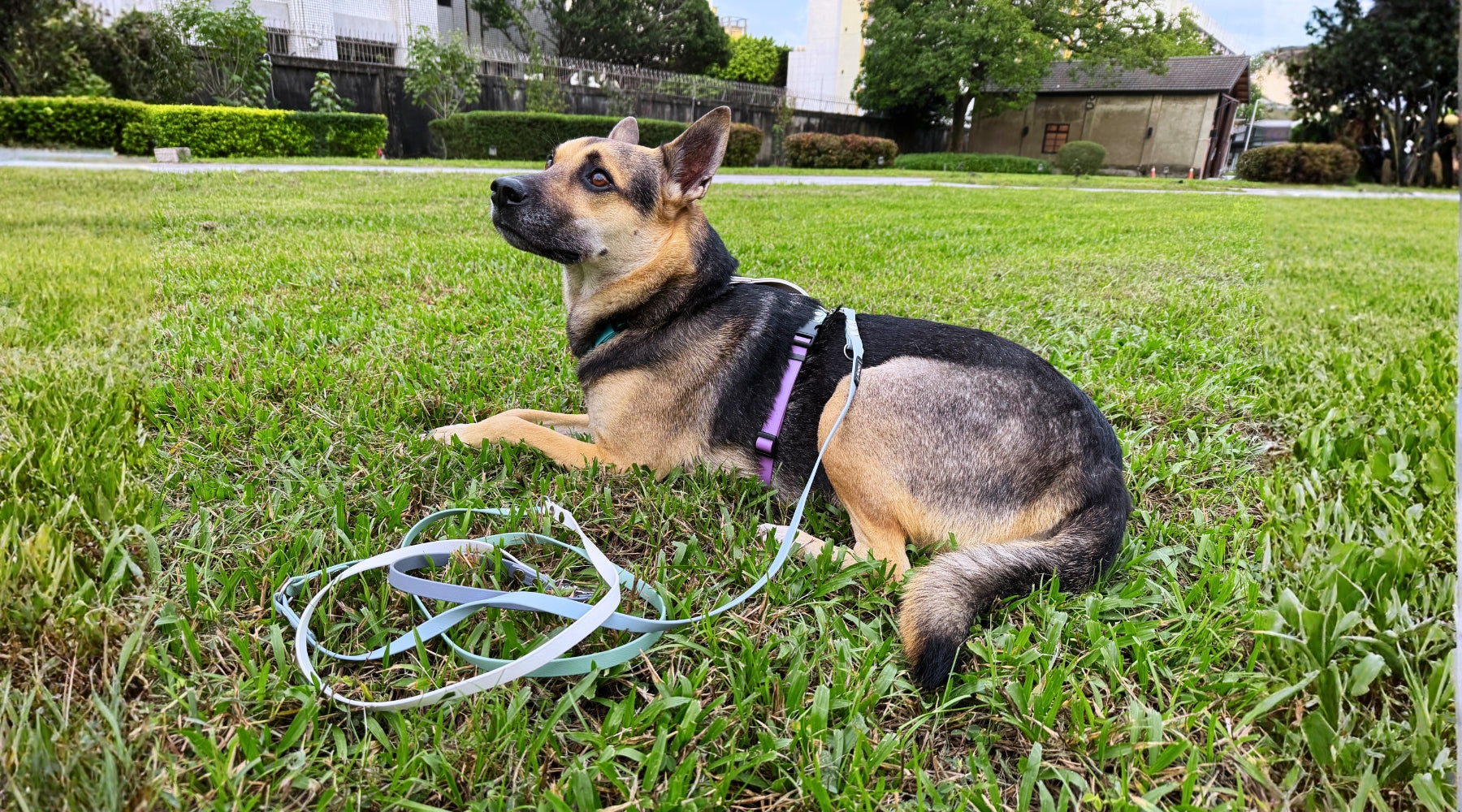 slider image slider_item_Hz3JLy