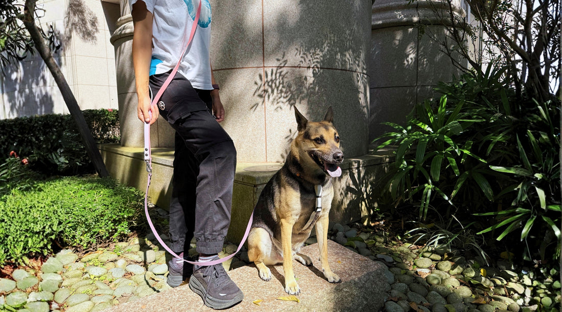 slider image slider_item_aPfMKq