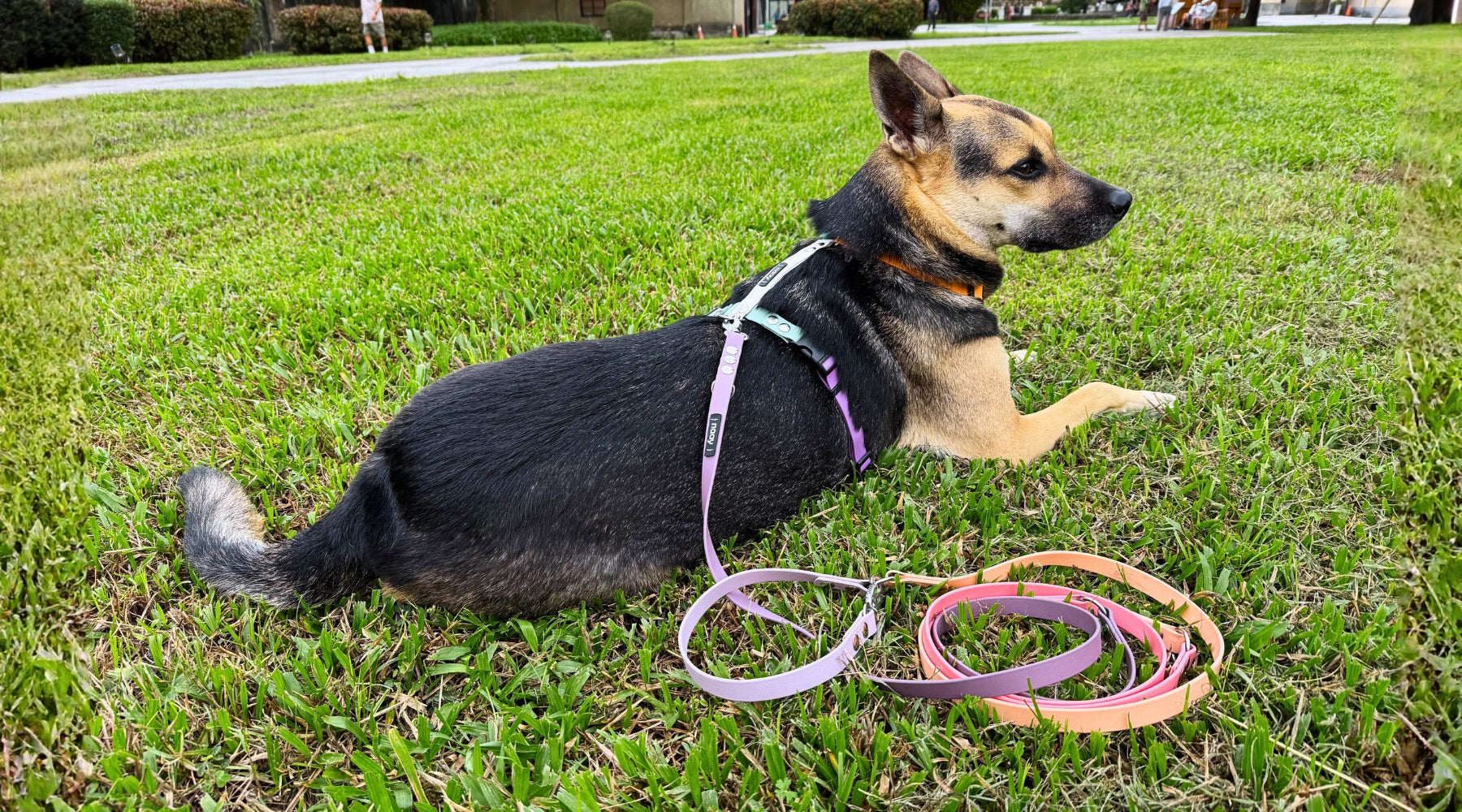 slider image slider_item_jFVttC