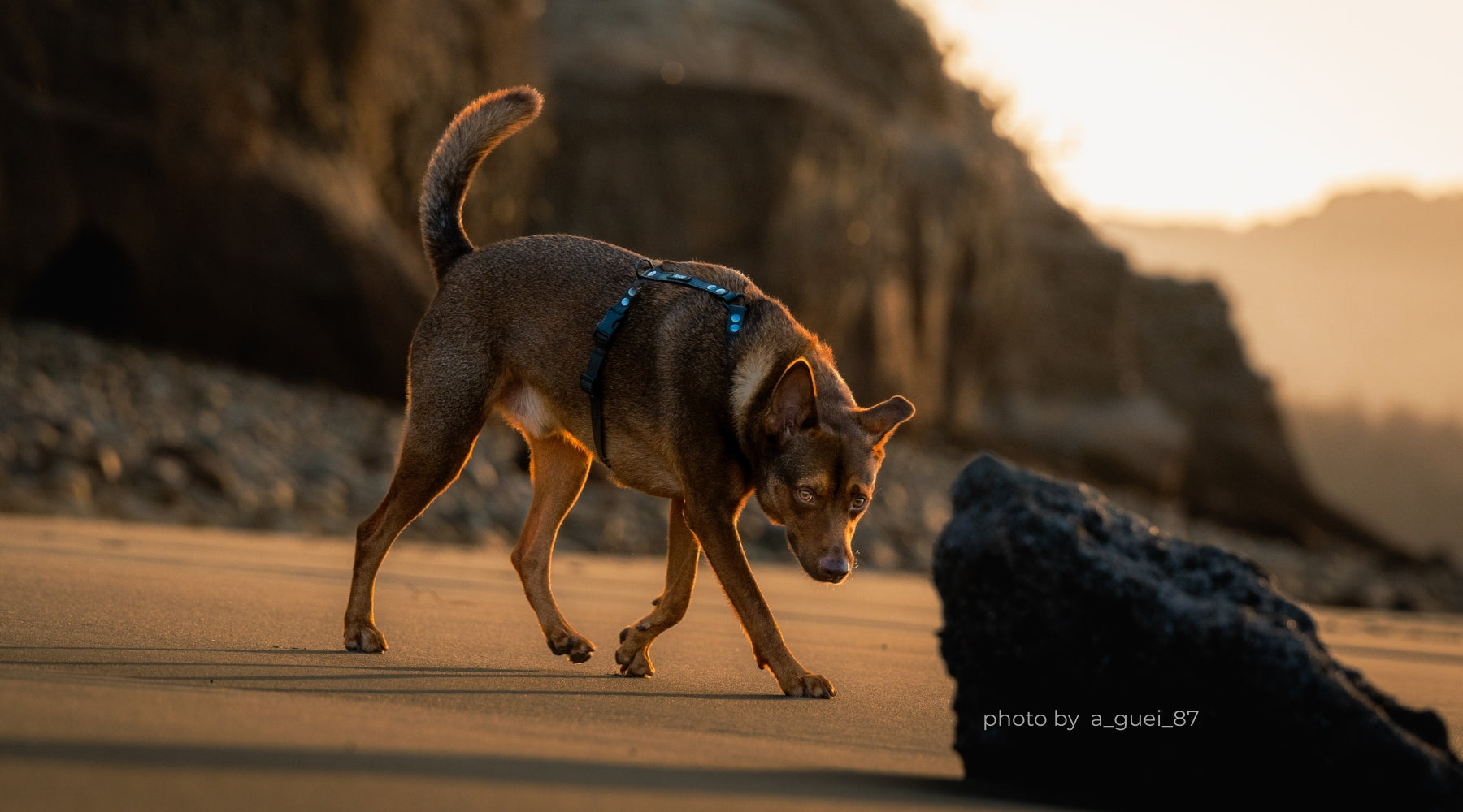 slider image slider_item_FBWdWA