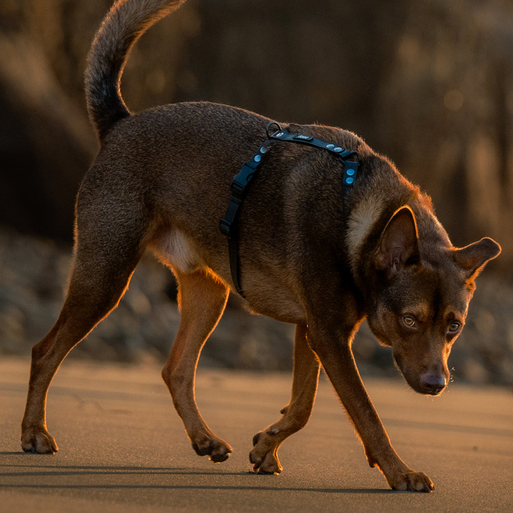 slider image slider_item_FBWdWA