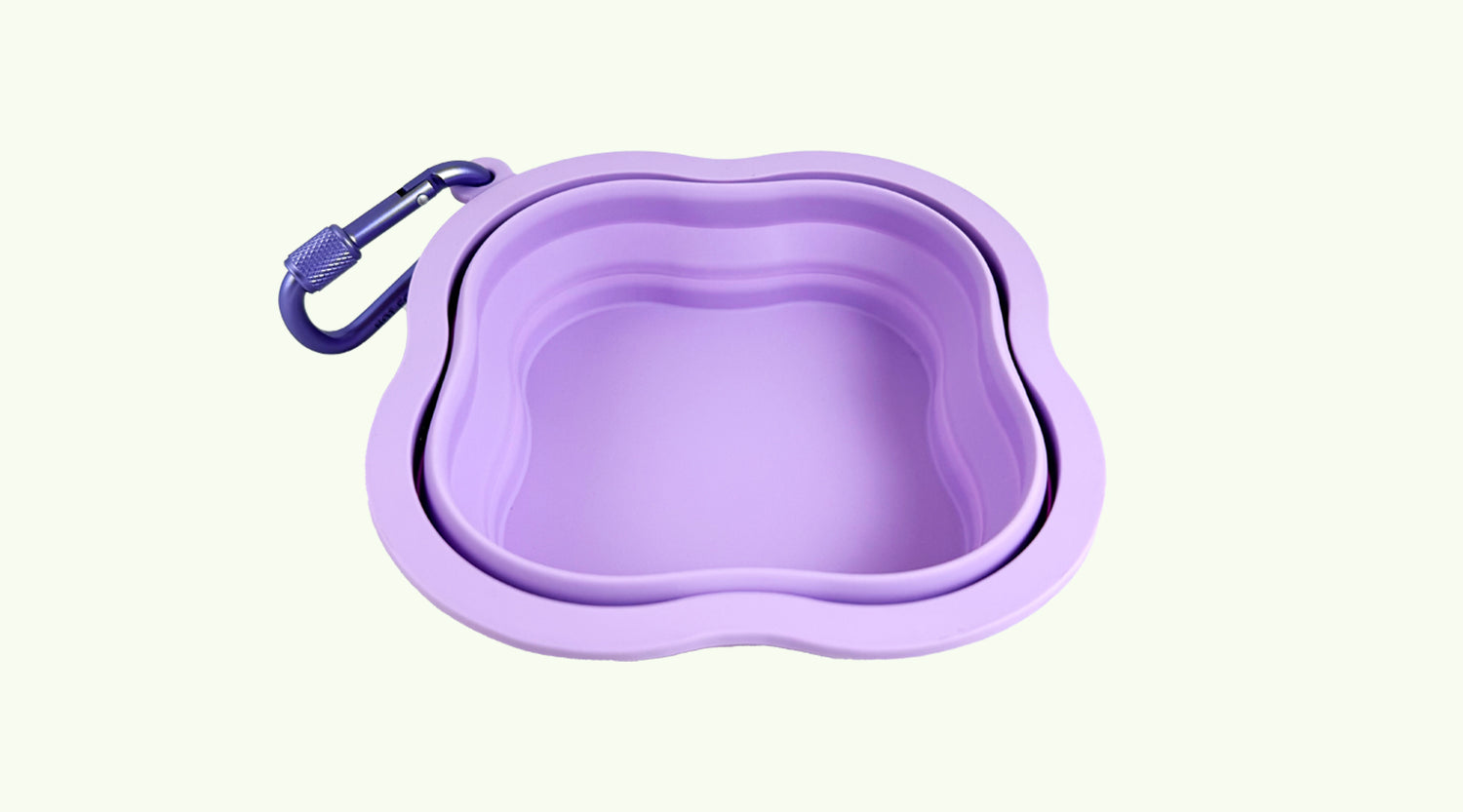 image comparison before