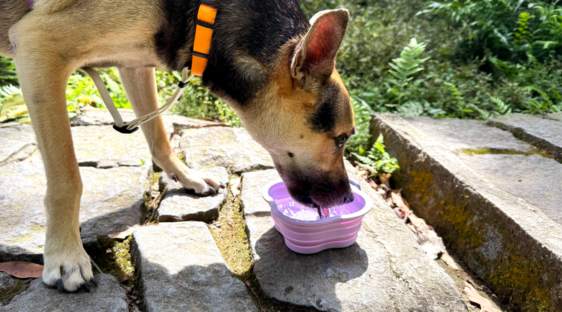 slider image slider_item_P9HXPJ