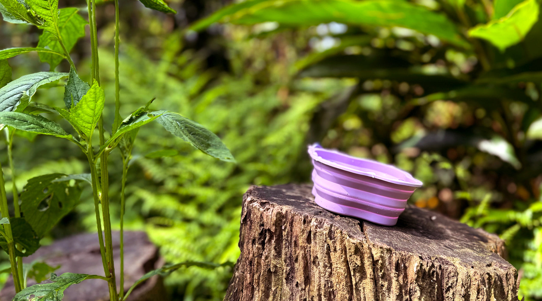 slider image slider_item_Cb4UJW