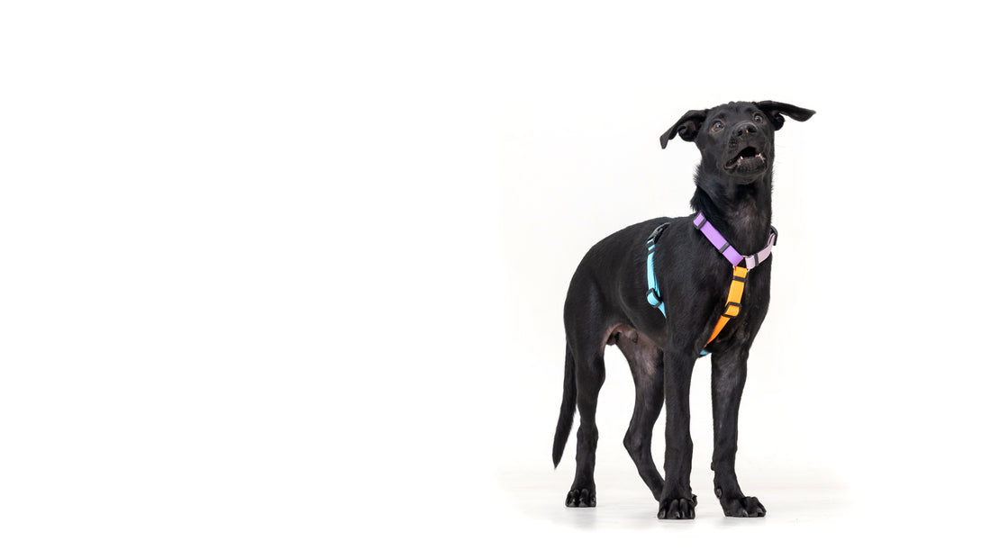 slider image slider_item_E3wJDE