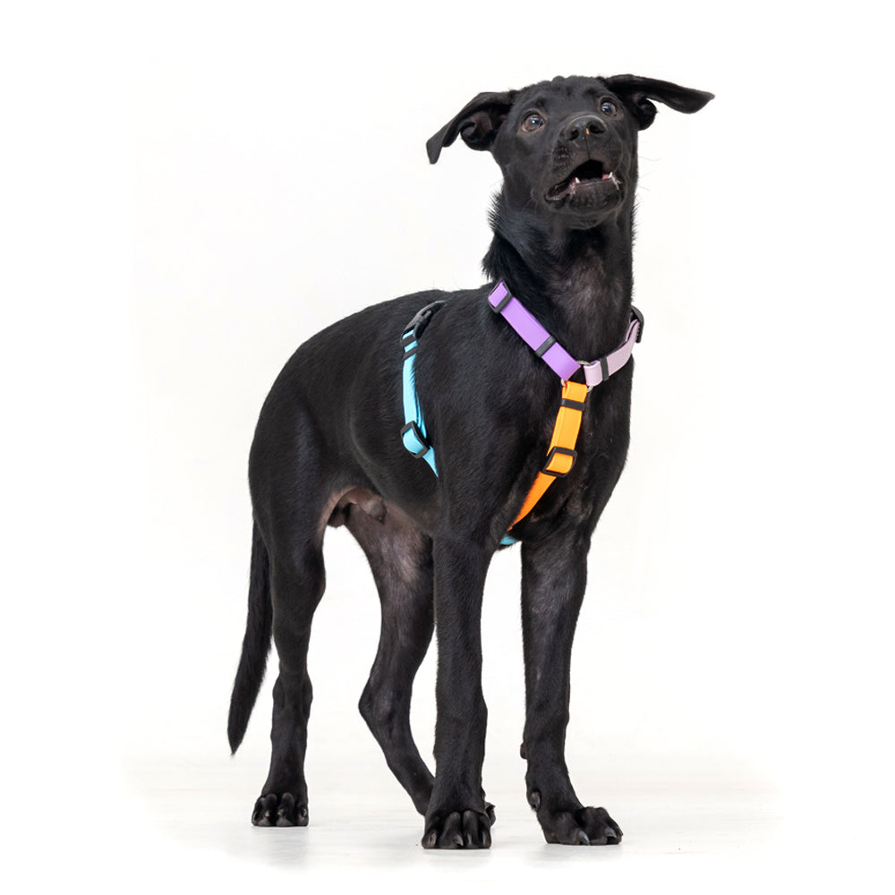 slider image slider_item_E3wJDE