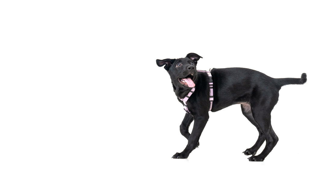 slider image slider_item_MRreWi