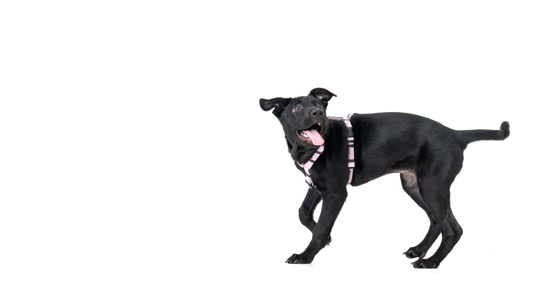 slider image slider_item_MRreWi