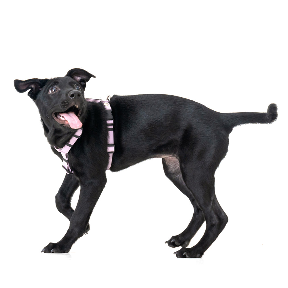 slider image slider_item_MRreWi