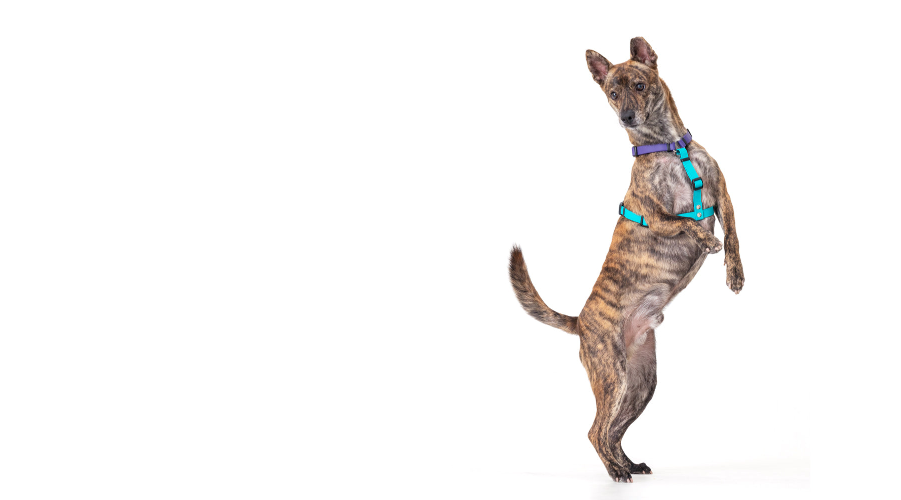 slider image slider_item_z7Q6YB