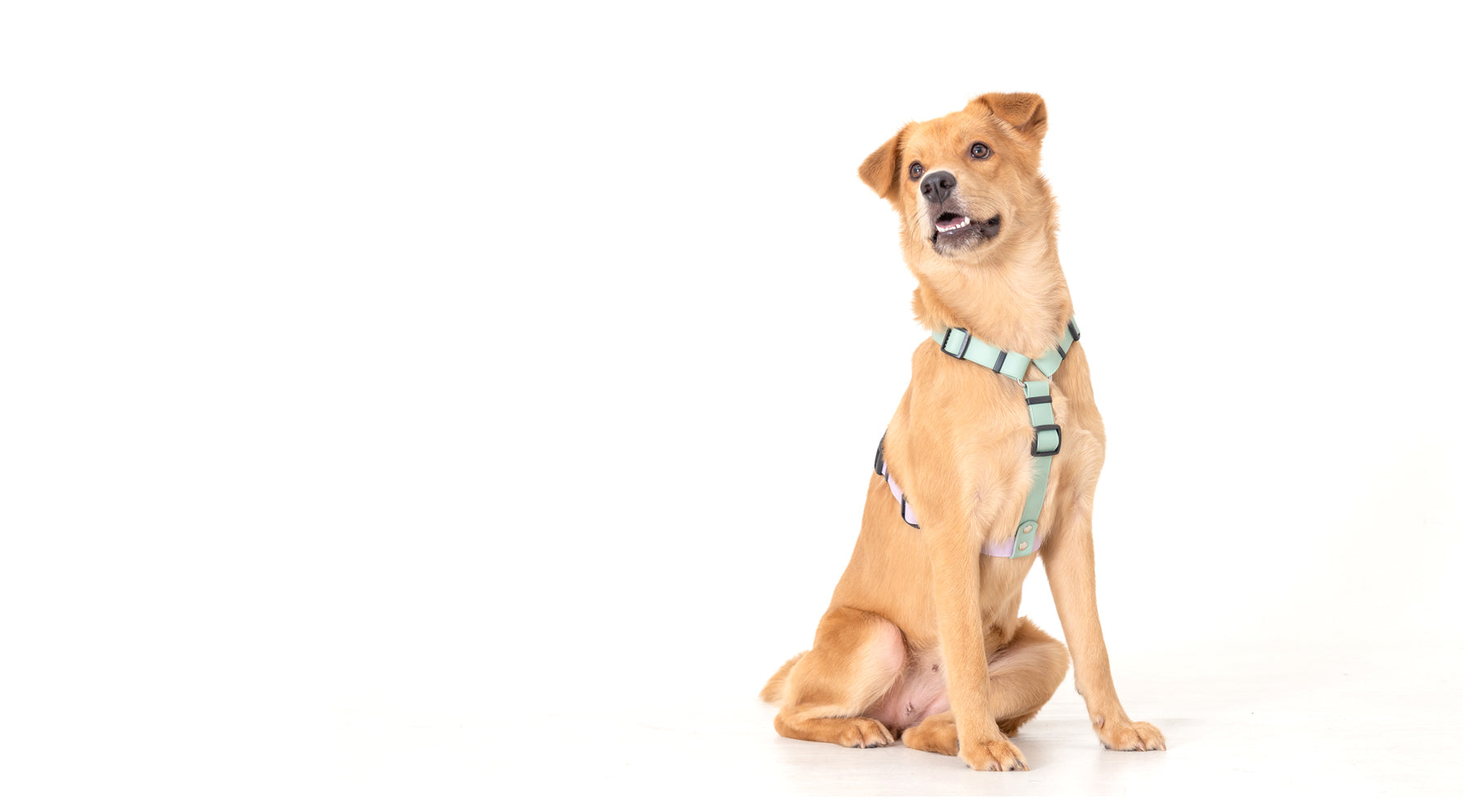 slider image slider_item_C7XWe6