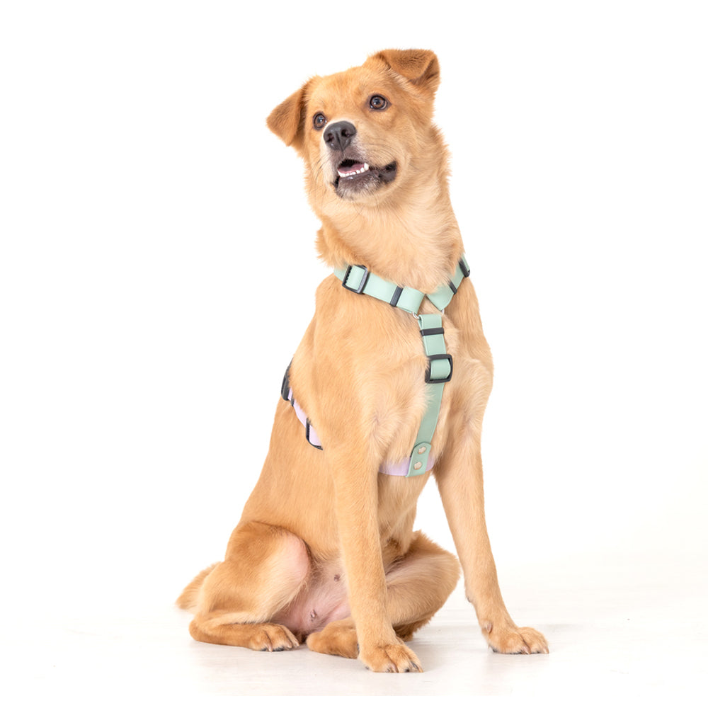 slider image slider_item_C7XWe6