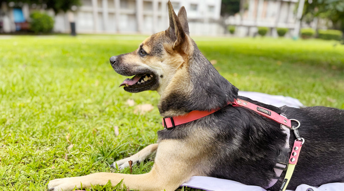 slider image slider_item_CAJjam