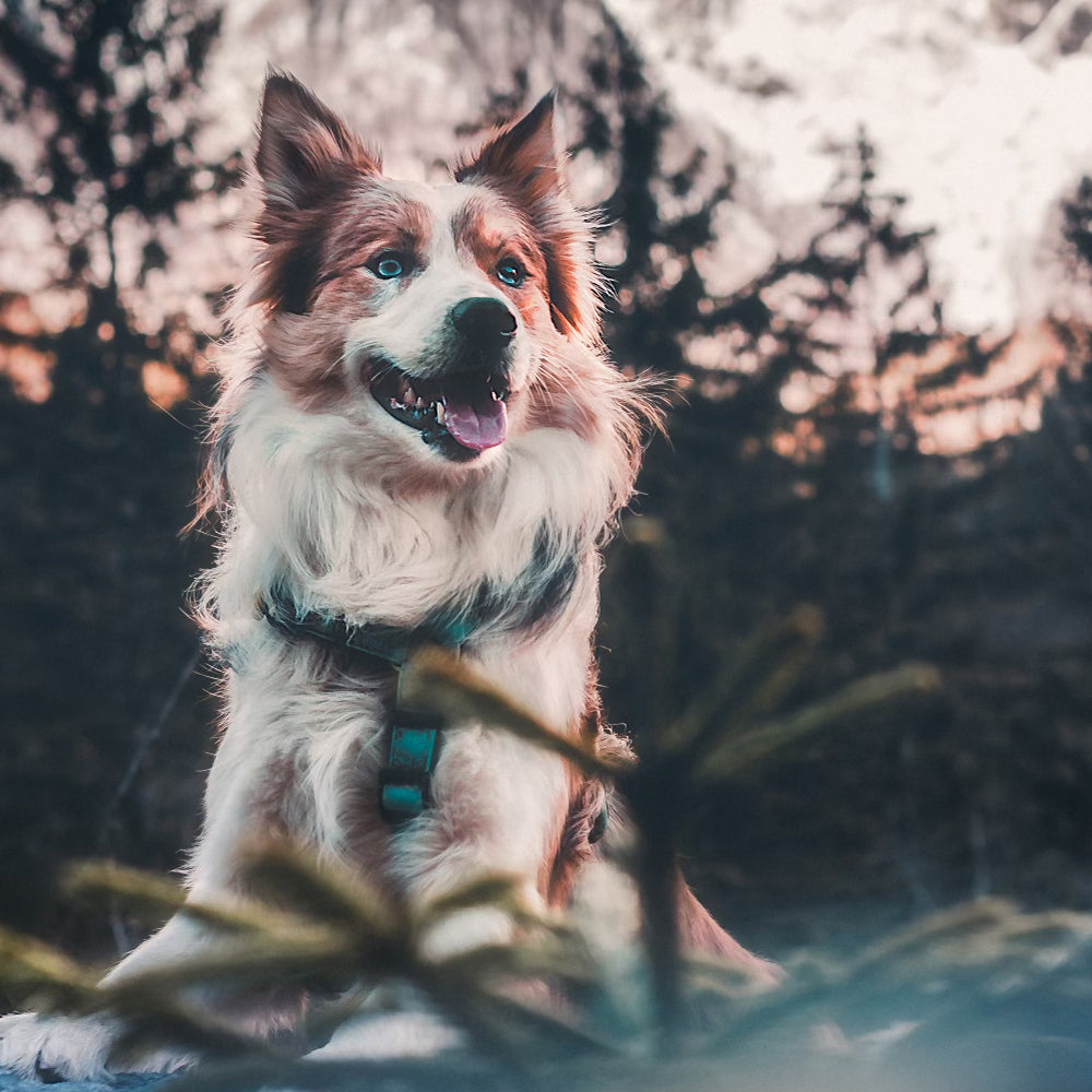 slider image 1621243260e1af0c20-1