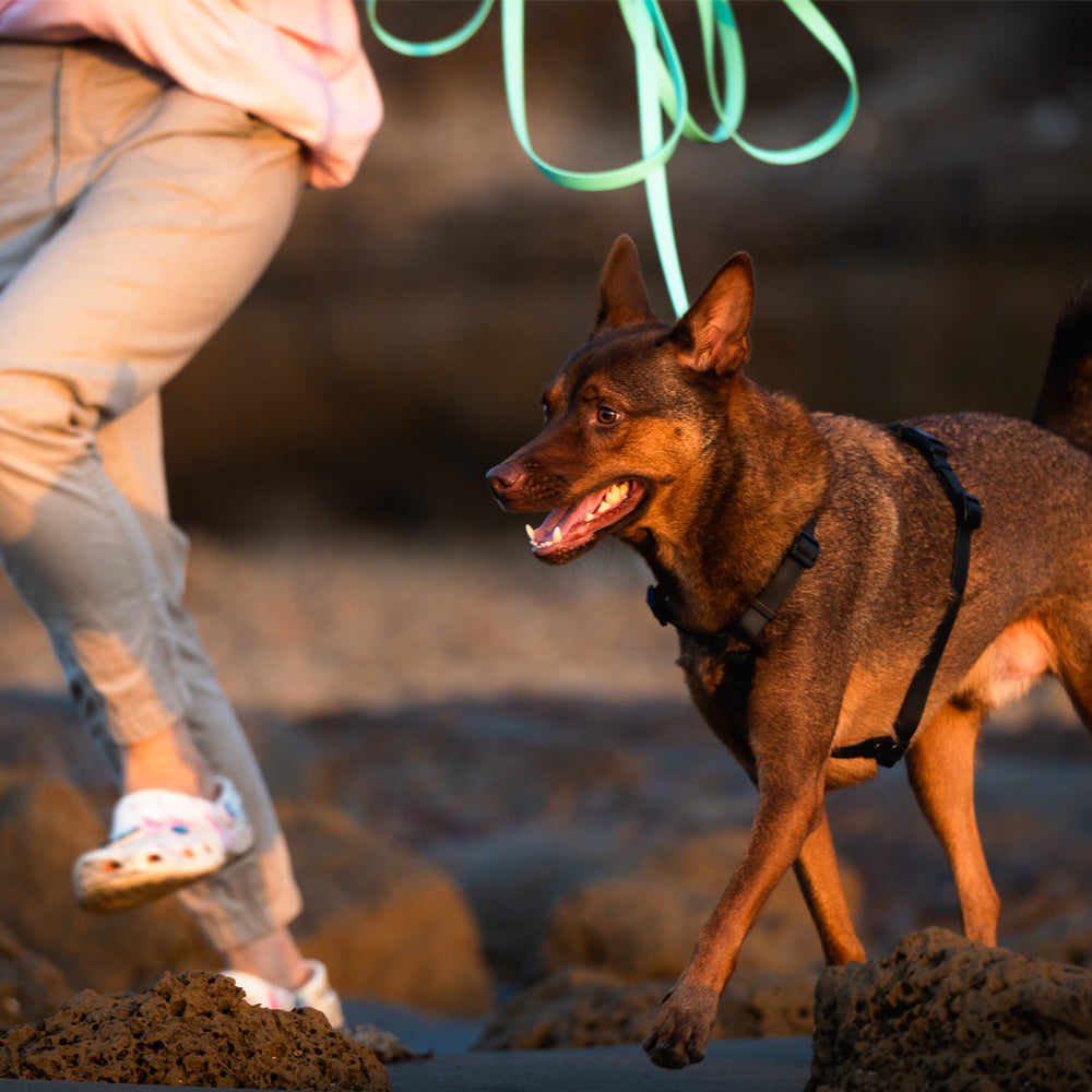 slider image 1621243260e1af0c20-2