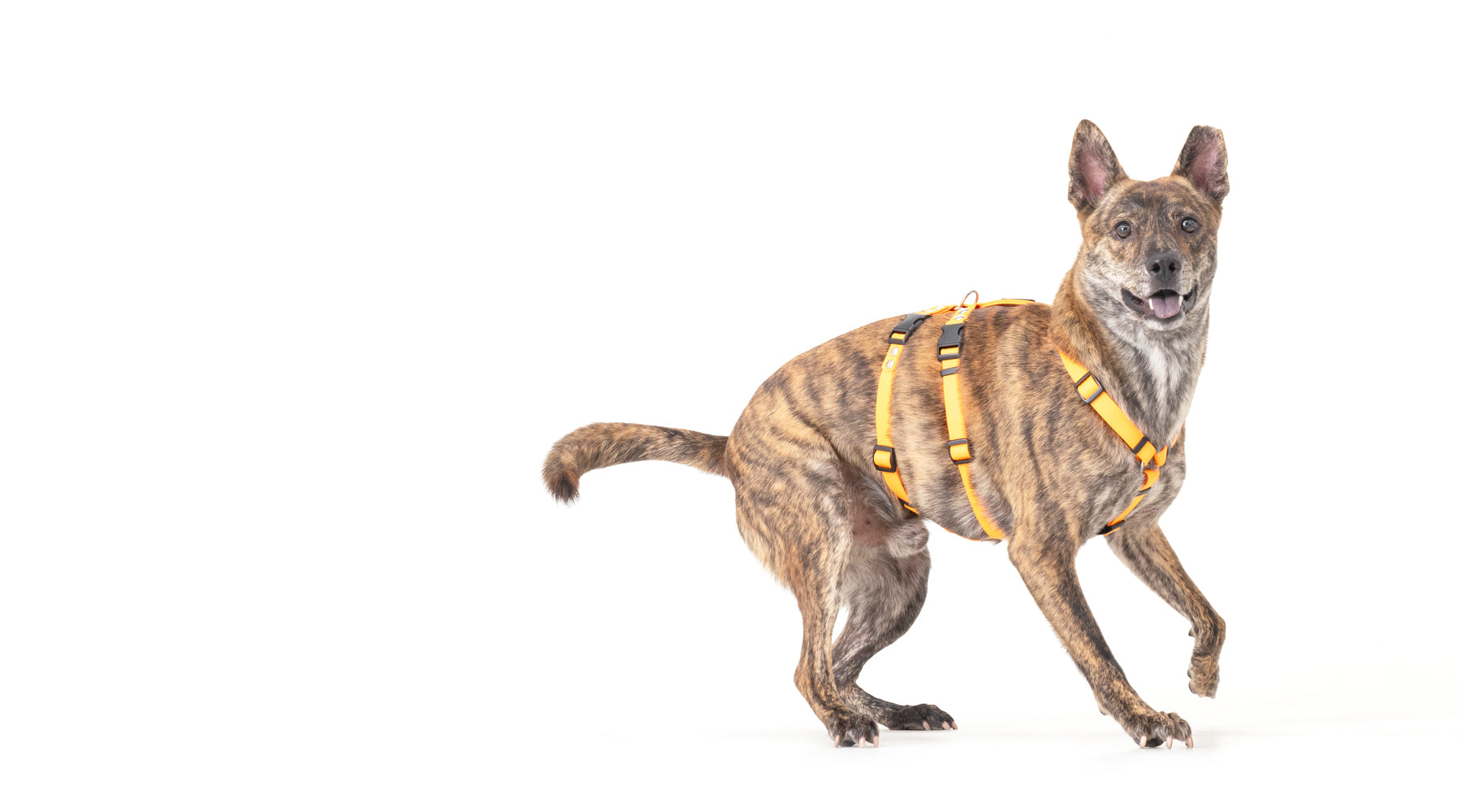 slider image slider_item_hBPcjw