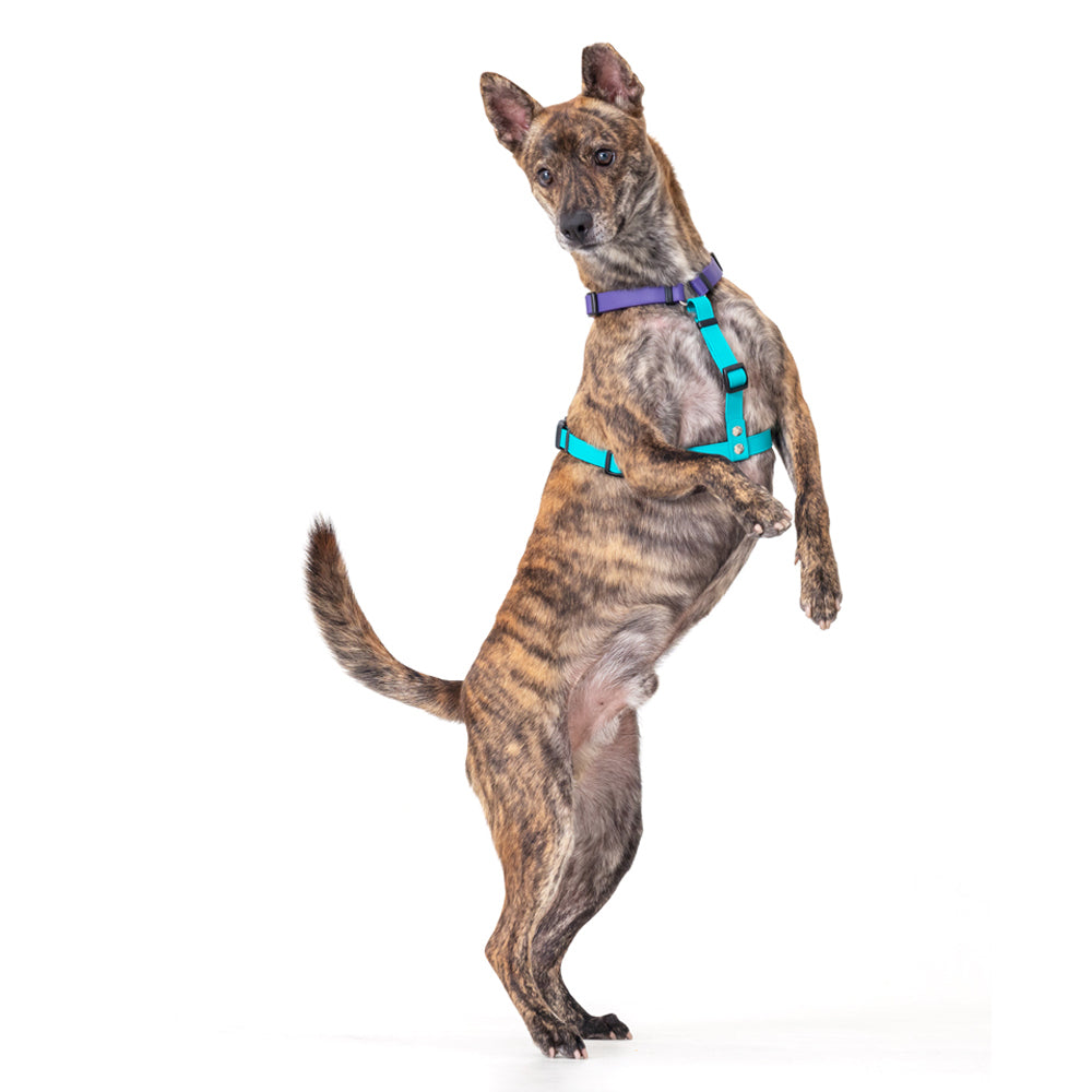 slider image slider_item_z7Q6YB