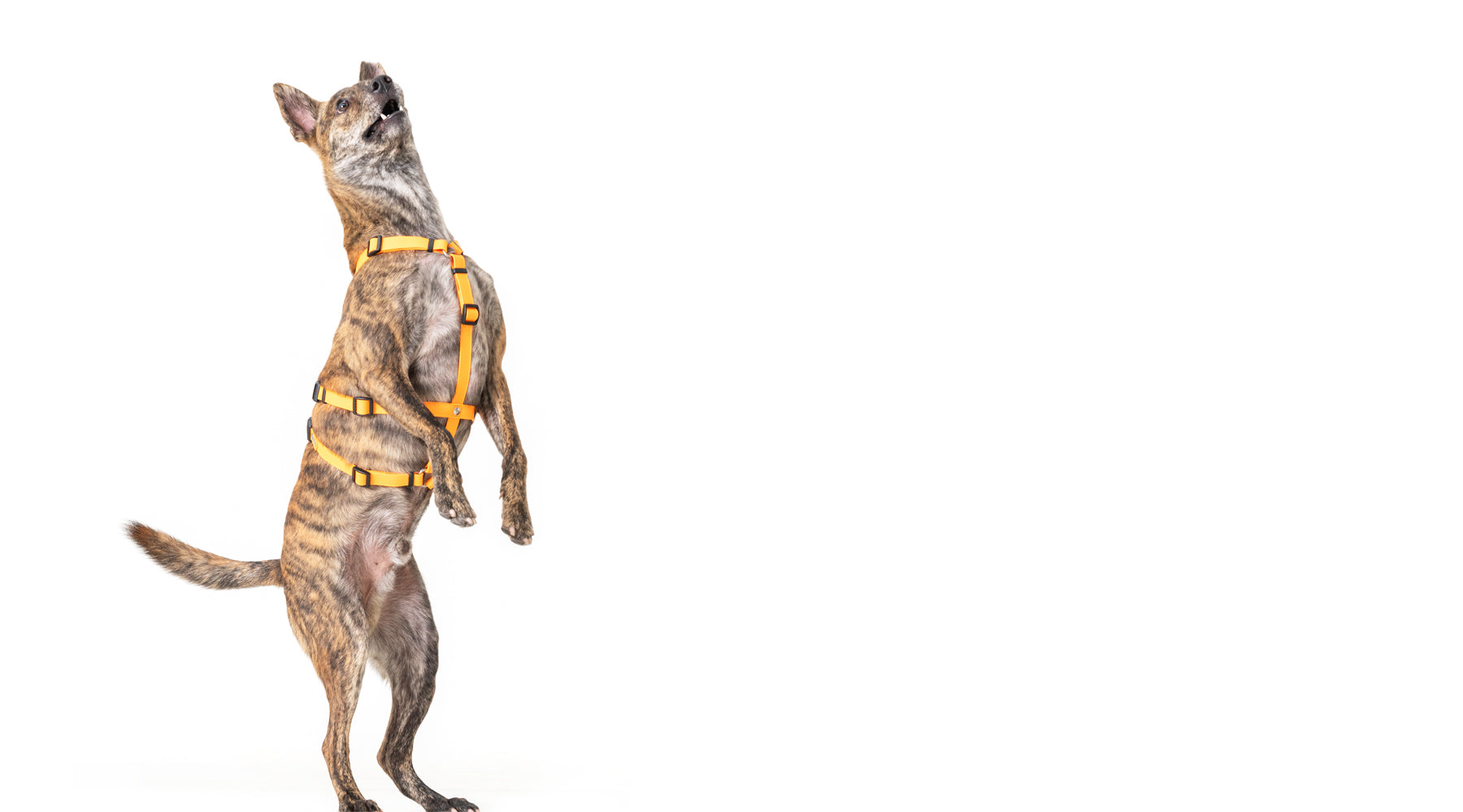 slider image slider_item_NAYz43