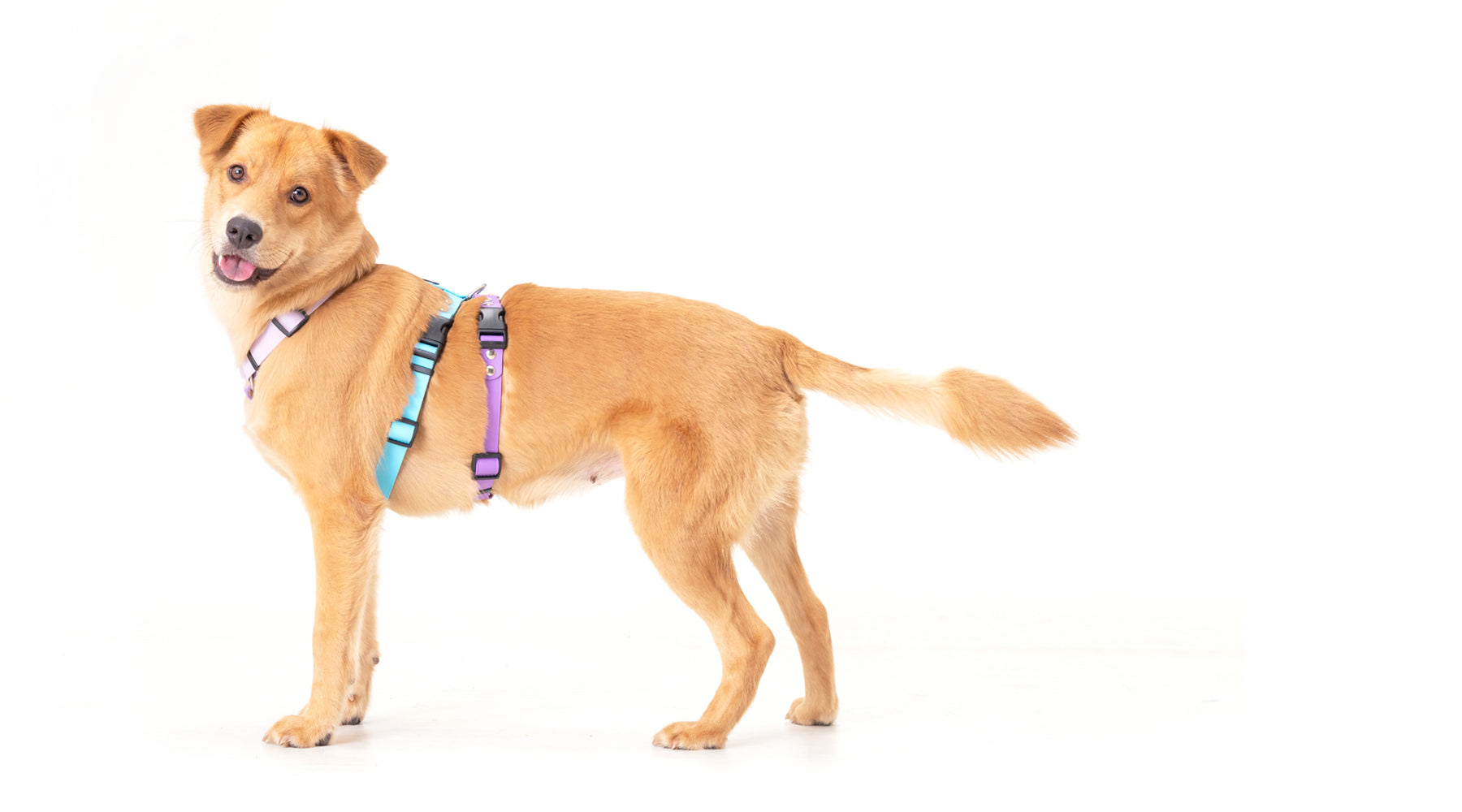 slider image slider_item_CXR8dG