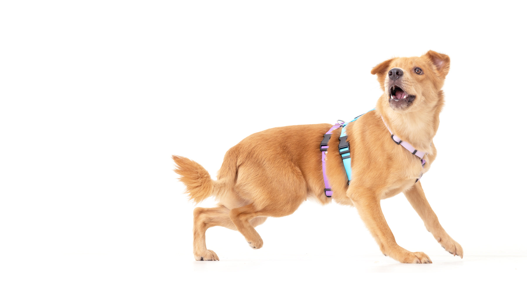 slider image slider_item_Vp3aFt