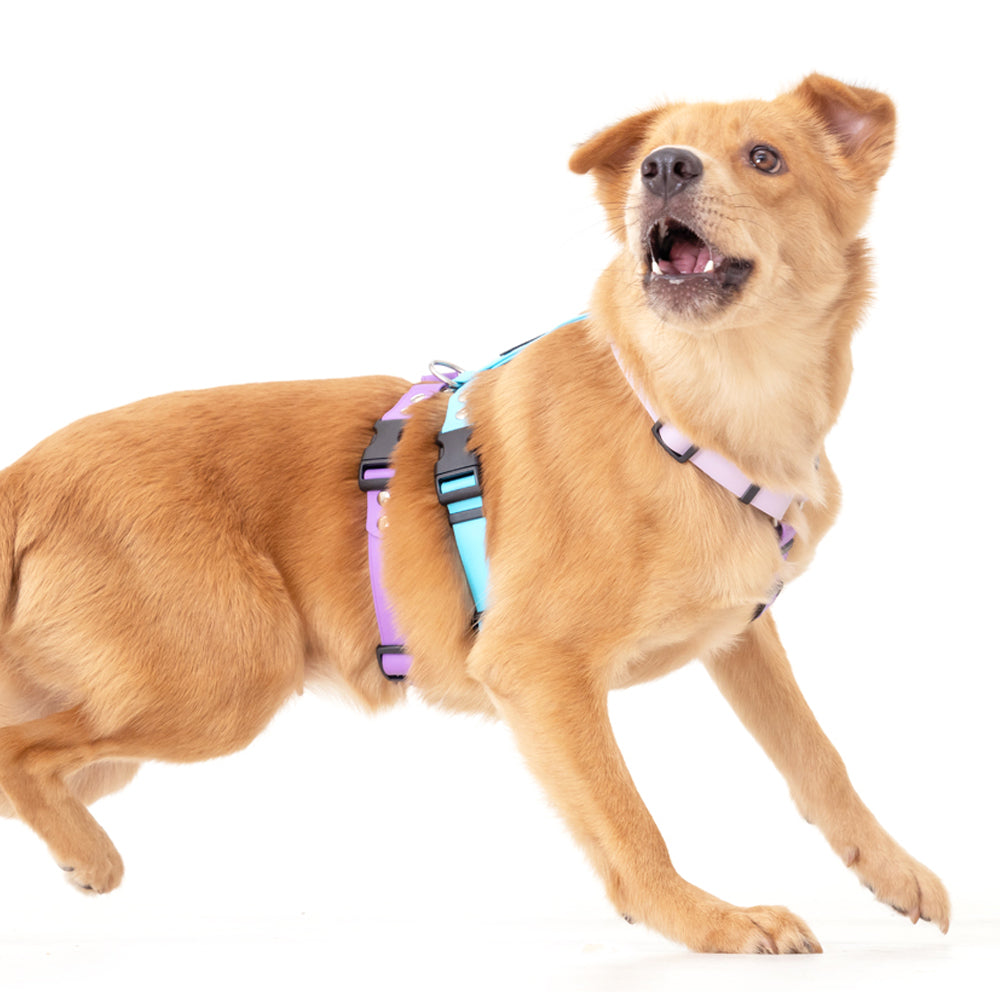 slider image slider_item_Vp3aFt