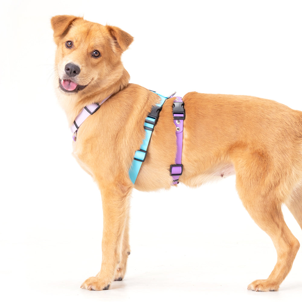 slider image slider_item_CXR8dG