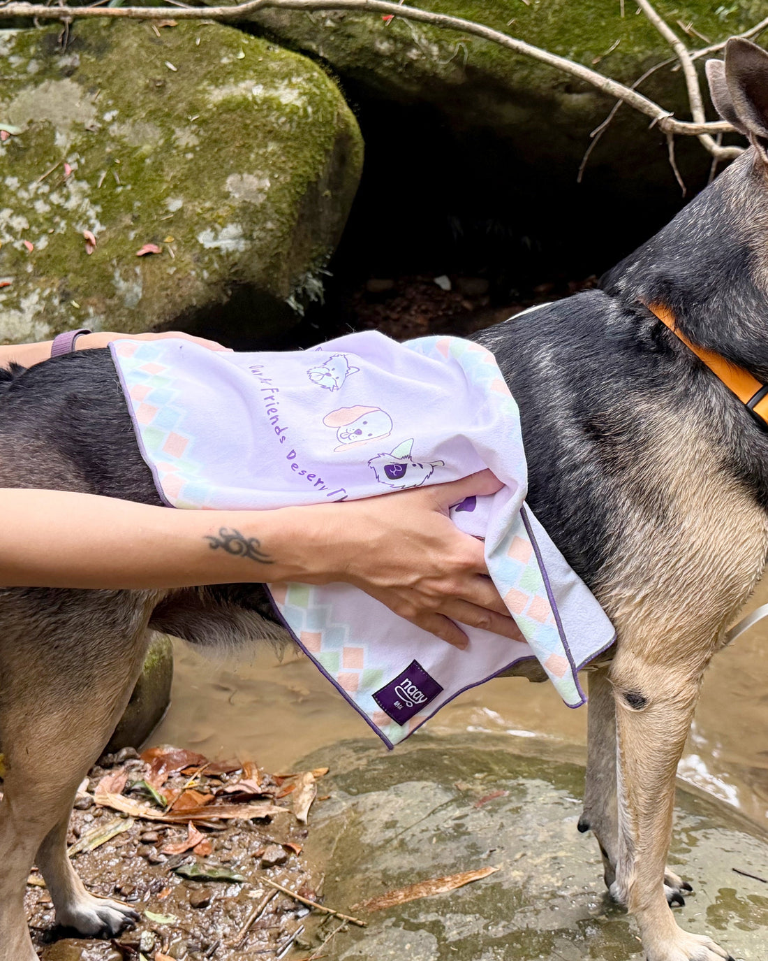 現貨 — 擦擦巾 - tag__new_新上市 - 毛巾 - 現貨 - NAAY 納以精品防水胸背